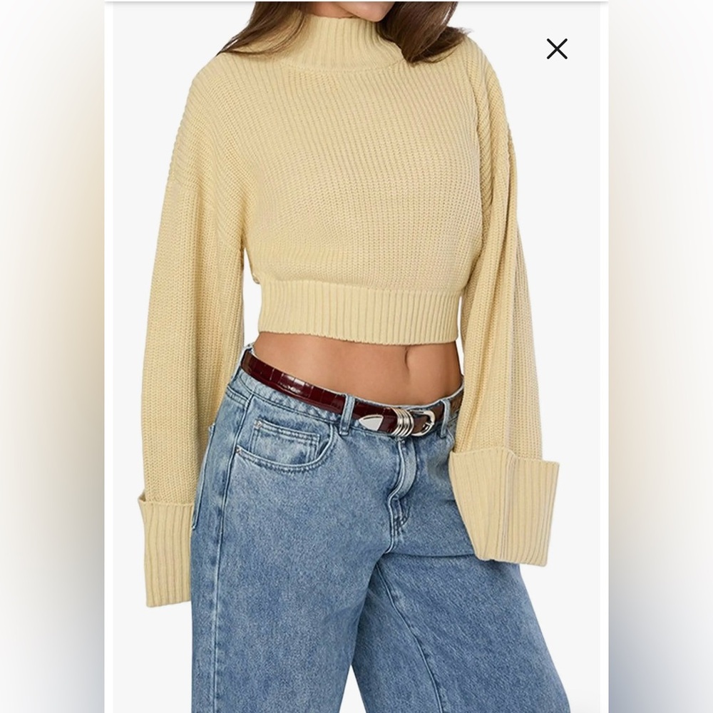 WeWoreWhat: NWT Wheat Cropped Sweater